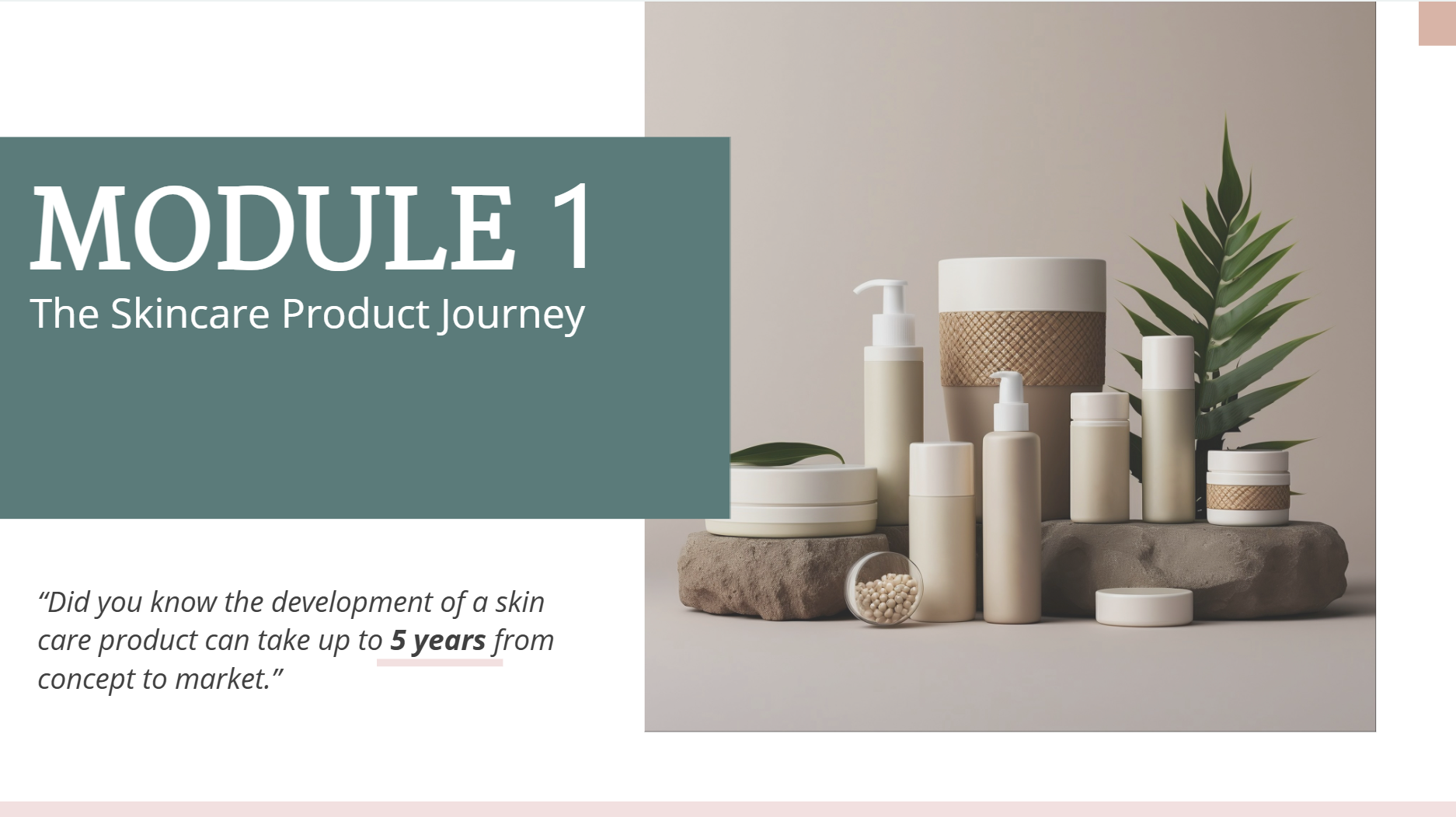 Foundations of Skincare Product Development - Module 1 Skincare Product Journey
